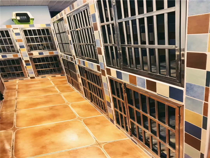 X寵物生活館 X寵物生活館