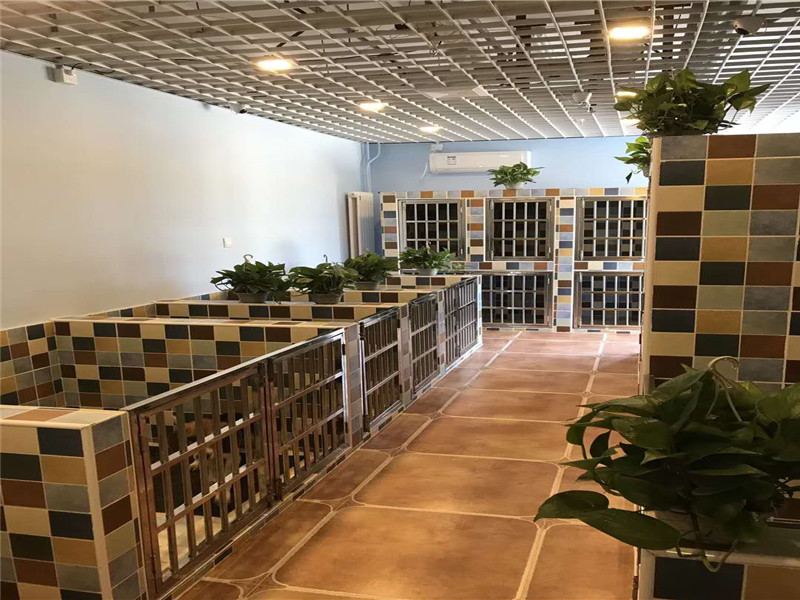 X寵物生活館 X寵物生活館