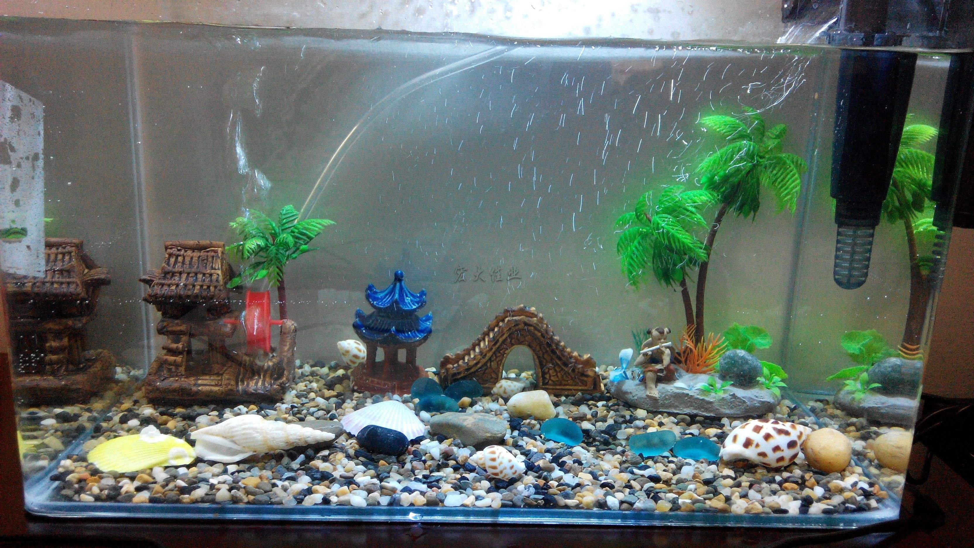 魚缸擺放風(fēng)水講究